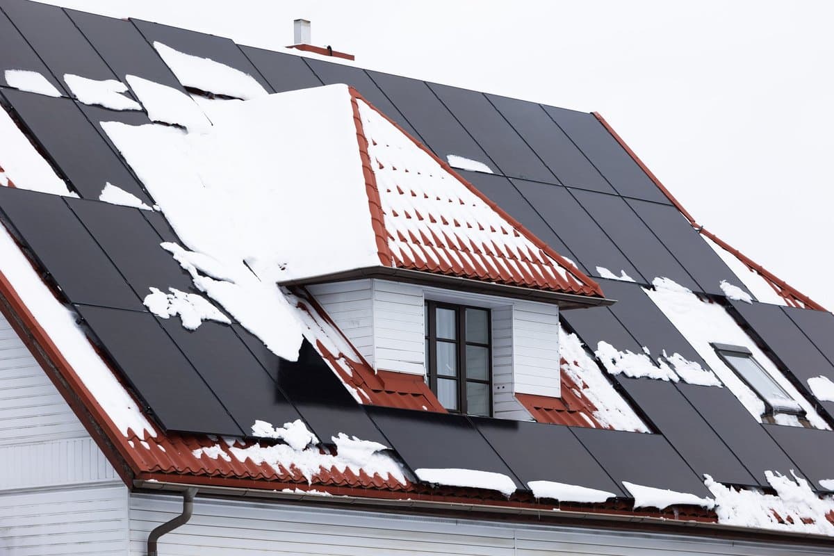 NT mokesčio reforma: kaip teisėtai optimizuoti mokesčius